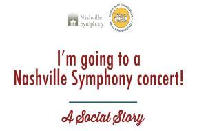 Slide 12 The Nashville Symphony Last year, TRIAD had the honor of partnering with the Nashville Symphony in