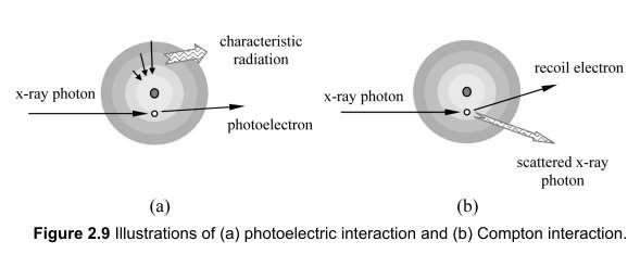 X Ray and matter Interactions Probability of the photoelectric interaction is proportional to the atomic number Z (P Ph Z 3 ).