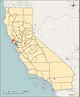 vvibdv in Washington State vvibdv Subtypes in California