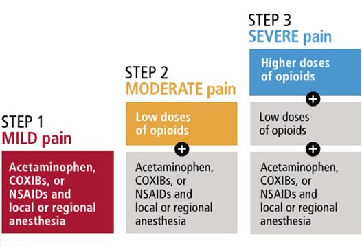 Multimodal Approaches J Clin Invest. 2010;120(11):3742-3644. Multimodal pain management: step therapy. Ofirmev.com.