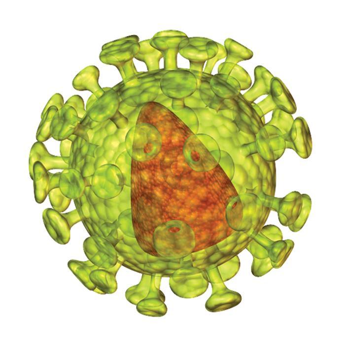HIV Human immunodeficiency virus (HIV) is a retrovirus targets the immune system attacks