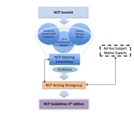 National Consensus Project Process (2017 18) Development: Steering Committee and Writing Workgroup formed NCP Strategic Directions Stakeholder Summit held Writing > reviews > revisions > approvals >