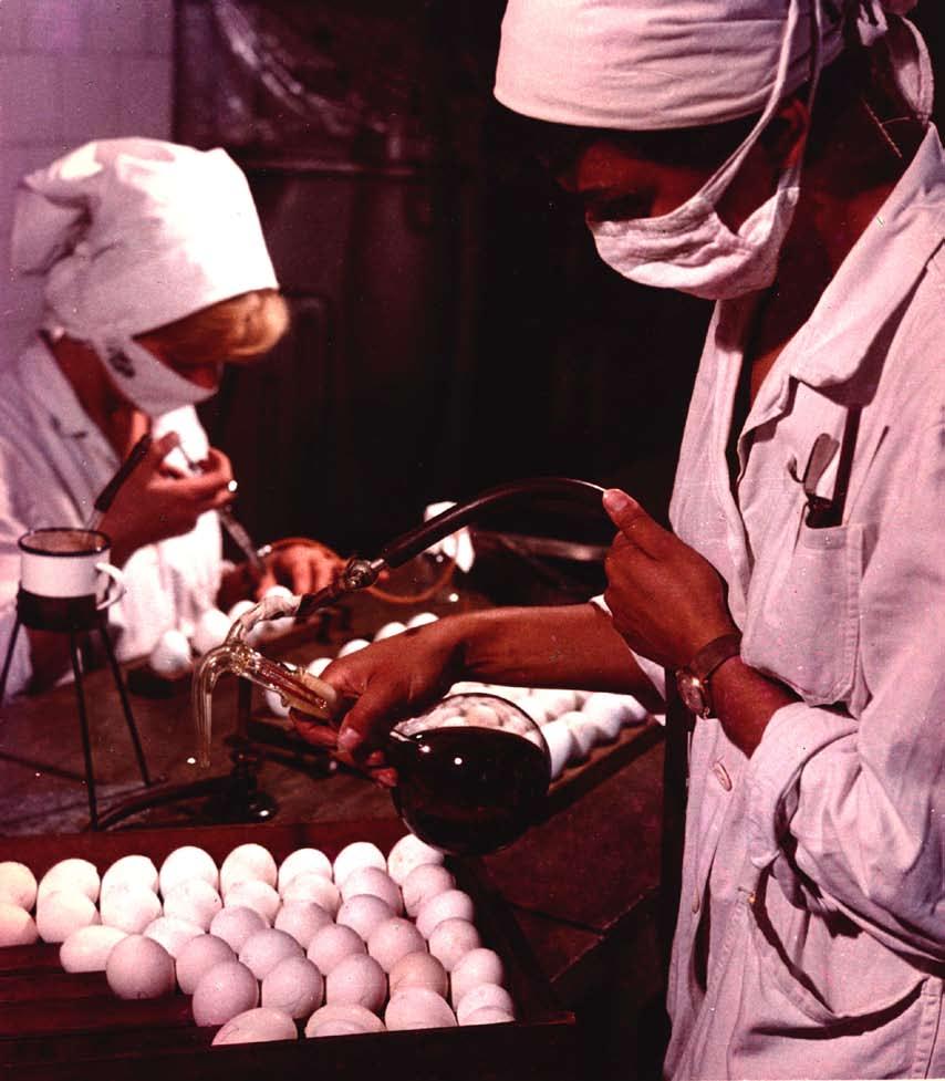 CEVA has been developing vaccine technology for poultry for over 100 years.