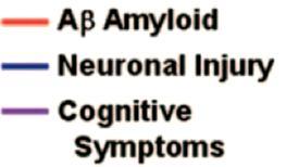 Neuronal Injury Cognitive Symptoms