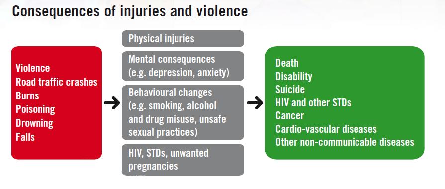 Injuries and violence: the facts.