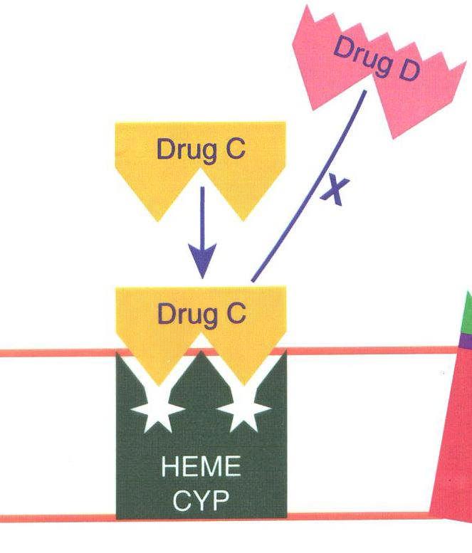 Inhibition Drug D = substrate Drug C = inhibitor or substrate/inhibitor Drug-Drug Interaction occurs almost immediately. It doesn t matter which drug is added first.