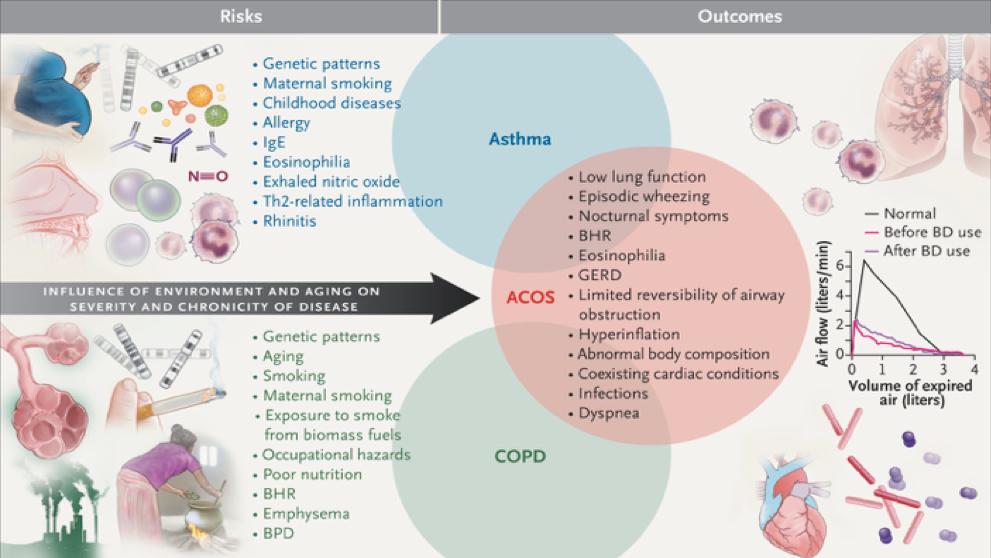 Current Approaches to Asthma & COPD Roadmap for the Talk 1. Introduction 2. Diagnosis of Asthma & COPD 3. Management of Asthma & COPD 4. What s New on the Horizon? 5. Questions?