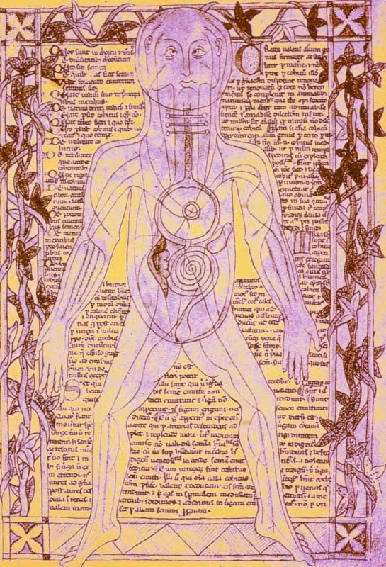 Picture sheet one 13 th century 15 th century Coloured medieval drawing of human venous system Credit: MEHAU KULYK / SCIENCE PHOTO LIBRARY / Universal Images Group This and millions