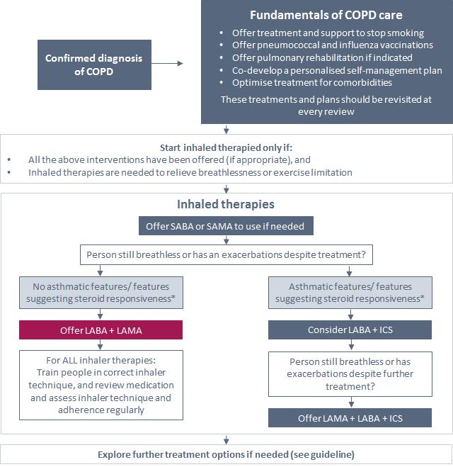 NICE 218 COPD Guidelines The NICE guideline covers diagnosing and managing COPD.