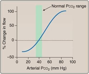 Page 4 of 17 Breathing - Hyperventilation Figure 2: Cerebral Blood flow dependence on PCO 2 [20] Hyperventilation (from excessive respiratory rates, tidal volumes, or both) is common and can have