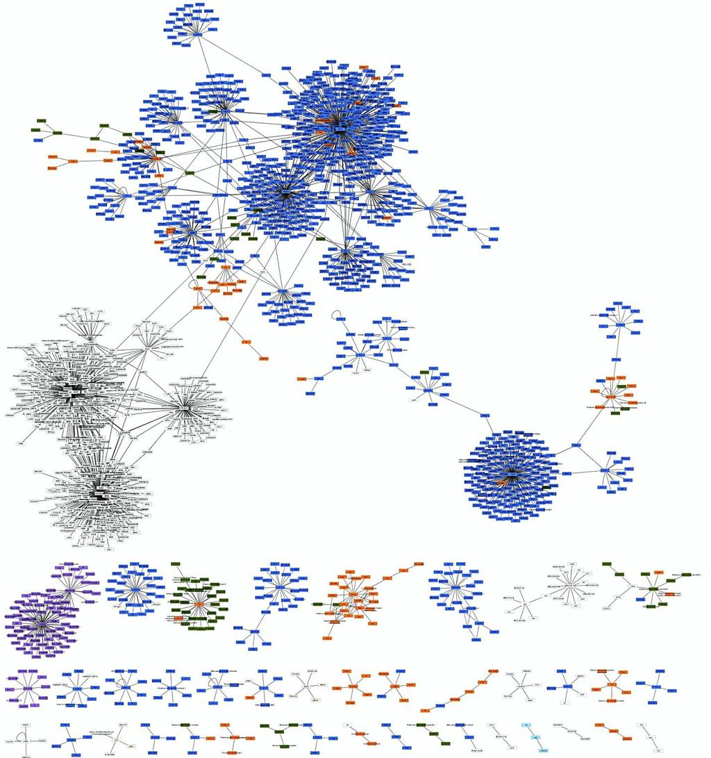 Results and Discussion Figure 1: Protein-protein interaction network of nor-noha and