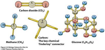 Carbon Carbon has four electrons in its outer shell.