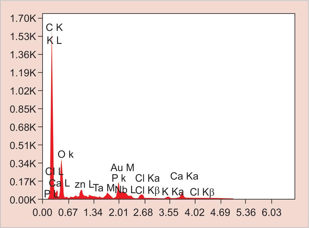 All specimens were evaluated for any loss of mineral content (wt.%) using SEM-EDX on the fifth day (Fig. 1 and Graph 1).