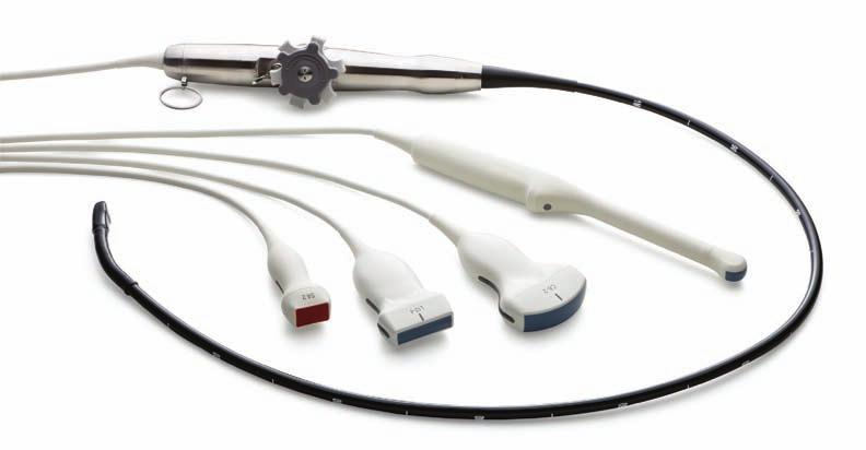 A wide range of transducers and clinical applications Sparq offers the following clinical applications
