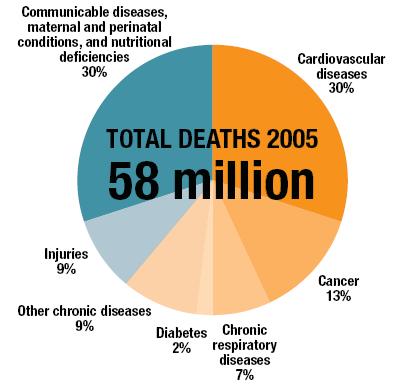 Main causes of death worldwide at all ages (year:: 2005) 17.