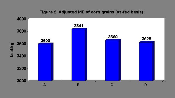 Implications This study indicates that energy concentrations of the four corn grains were variable, but the nitrogen absorption and retention of pigs fed these grains were not different.