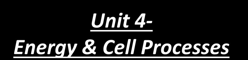 Unit 4- Energy & Cell Processes