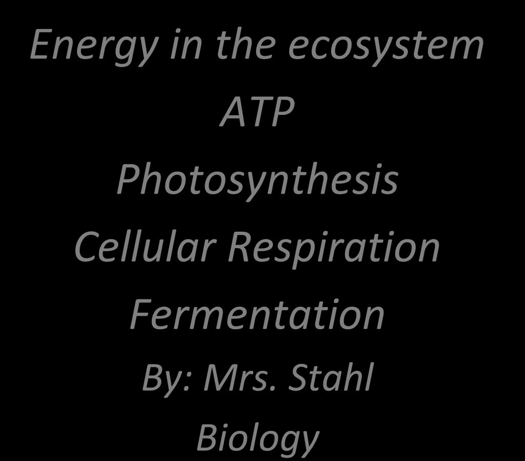 Photosynthesis Cellular