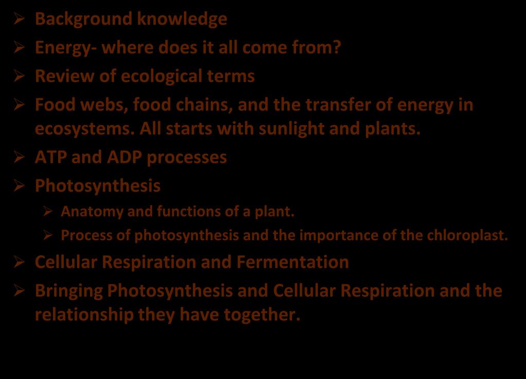 All starts with sunlight and plants. ATP and ADP processes Photosynthesis Anatomy and functions of a plant.