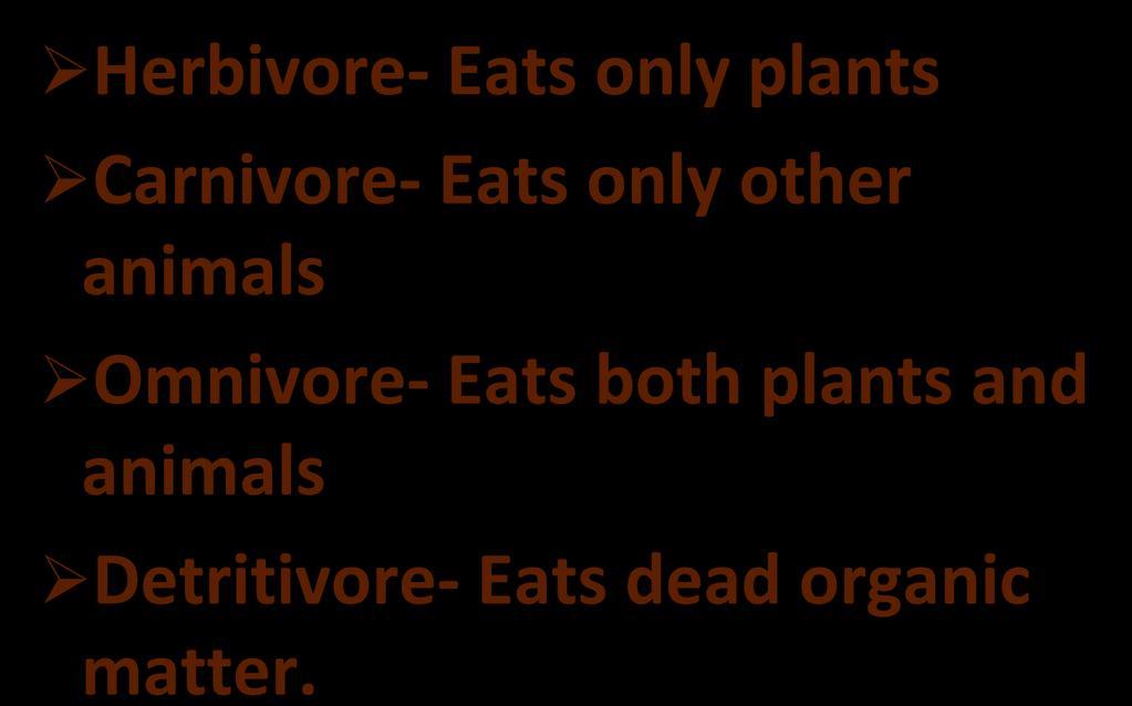 Types of Consumers Herbivore- Eats only plants Carnivore- Eats only other