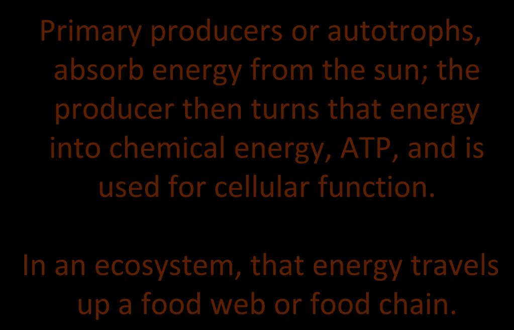 chemical energy, ATP, and is used for cellular function.