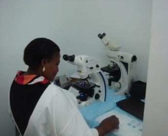 TB diagnostic tools in Tanzania New TB diagnostic tools in Tanzania have the potential to