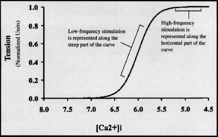 11 Figure 4: [Ca 2+ ]-tension curve showing that Ca 2+ release at high frequencies is on horizontal part of curve, while release at low frequencies is at steep part.