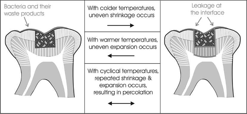 3. Coefficient of Thermal Expansion measurement of change in size in relation to change in temperature.