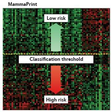 MAMMAPRINT The MammaPrint, was the first microarray-based prognostic signature to be approved by the U.S. FDA.