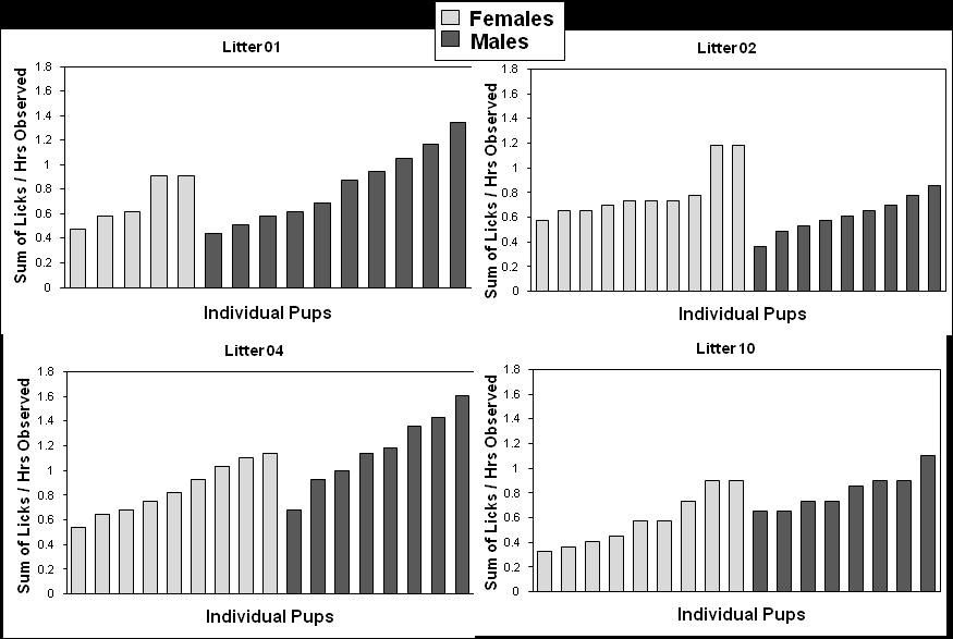 Within-litter variance in neonate perioral contact & maternal licking (2-3 fold differences within litters)