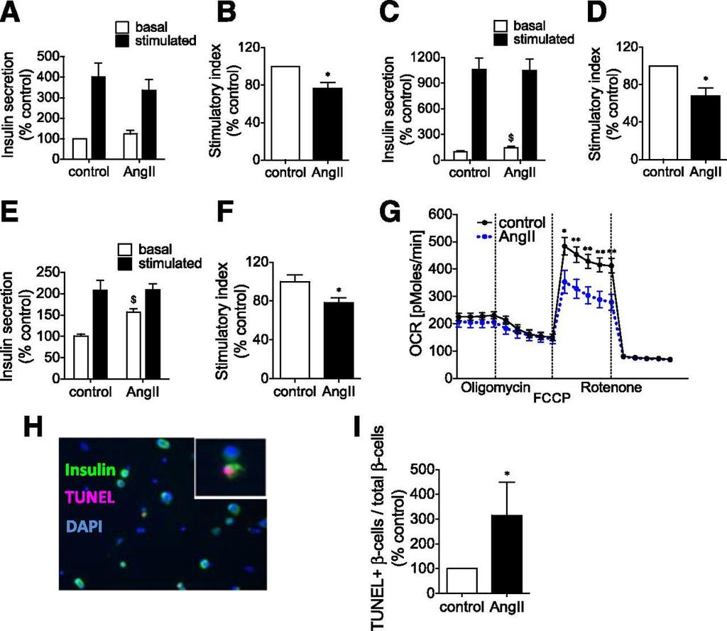 Angiotensin II (AngII) inhibits insulin secretion in human and mouse islets and induces β-cell