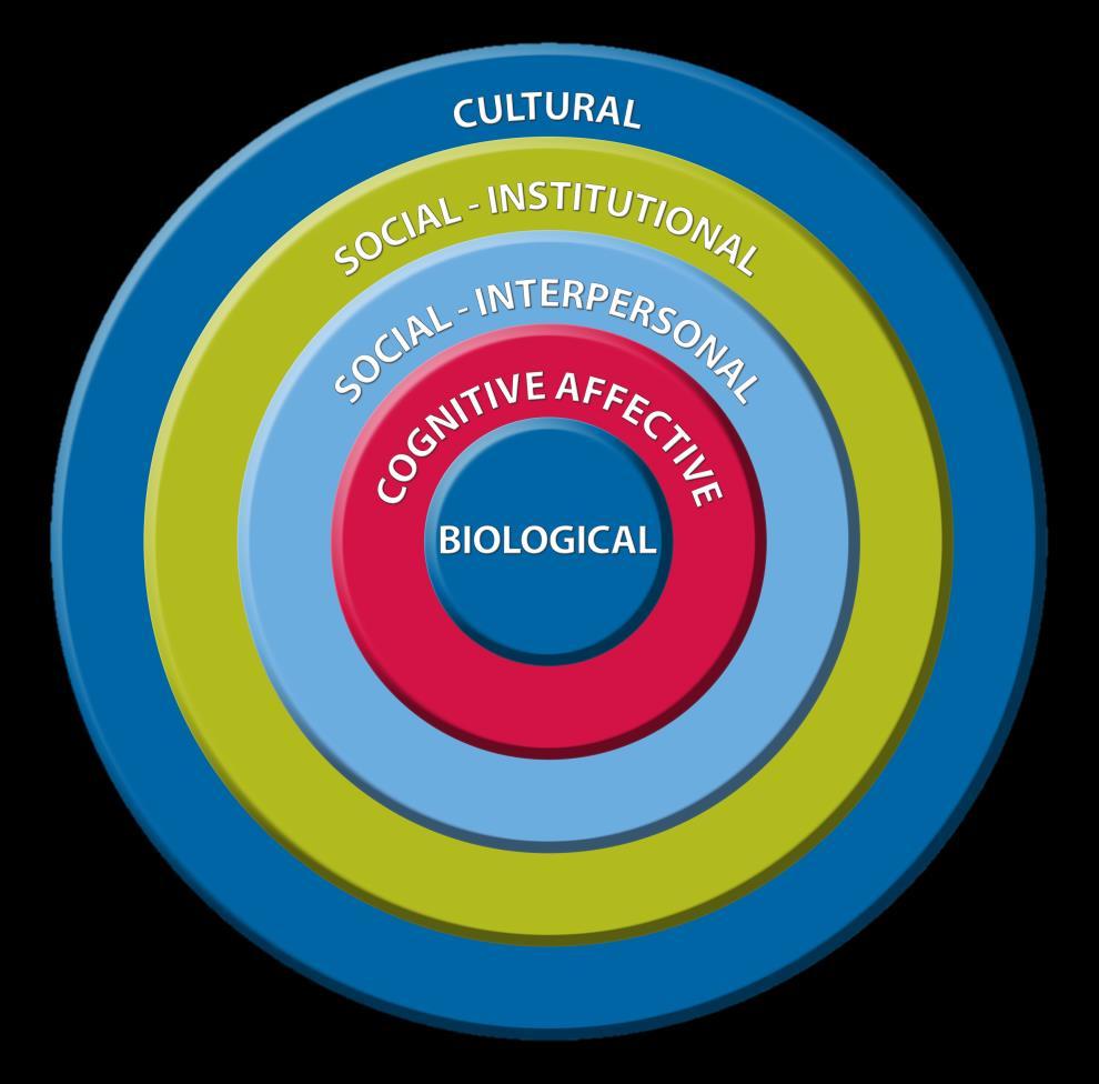 World Health Organization s (WHO) Biopsychosocial Model The WHO biopsychosocial model extends beyond contemporary