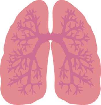 COPD Challenge Identify COPD signature in the small airway (training set) Large airway smoker vs. non-smoker datasets may give clues to 1.