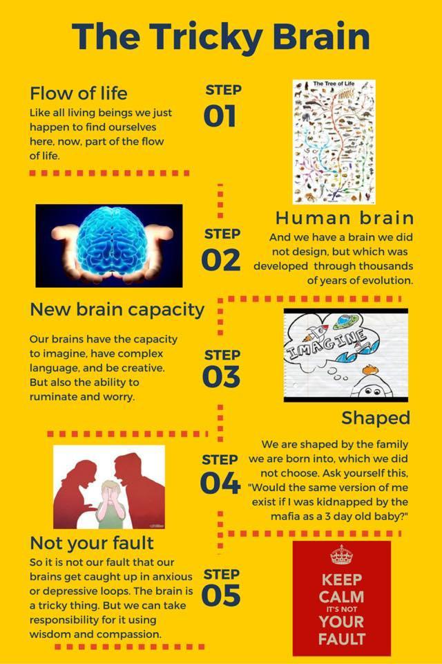 The Tricky Brain by Dr James