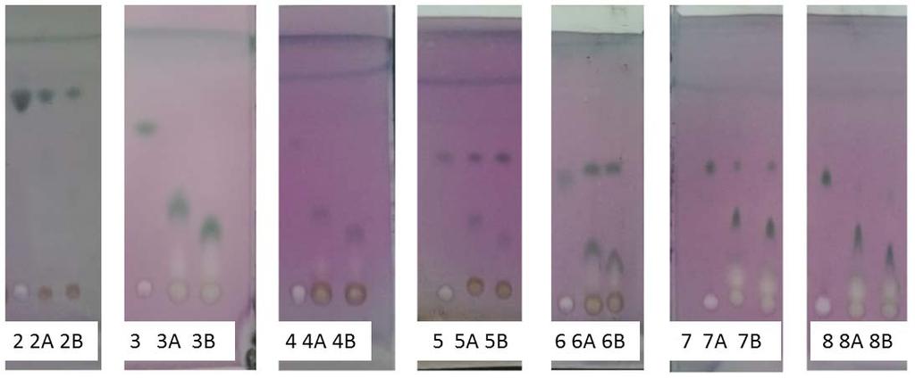 Figure S1. Reaction conversion rates of Table 1 and Table 2 were determined by first staining the TLC plates with p-anisaldehyde sugar stain and then using ImageQuant 5.