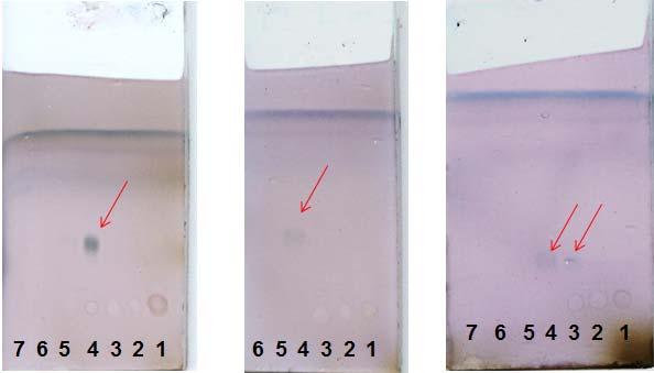 Figure S2. FSPE purification of (A) Neu5Ac 2 3Lac ProNH-C 8 F 17, (B) Neu5Ac 2 3Lac ProNH- C 6 F 13, and (C) Neu5Ac 2 3Lac ProNH-C 3 F 7. After loading the reaction mixture to FSPE cartridge, 3 3.
