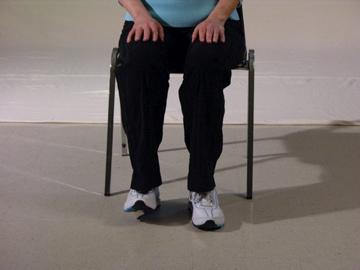 !! Heel Raises: (can be done seated or standing) 1.Push your toes down and lift heels off the ground. 2.Return to flat footed position. 3.Repeat up to 15 times.