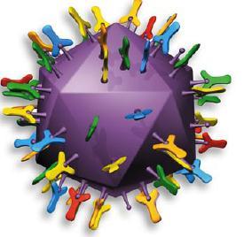 Immune complex IBD vaccine Winterfield 2512 Vaccine virus
