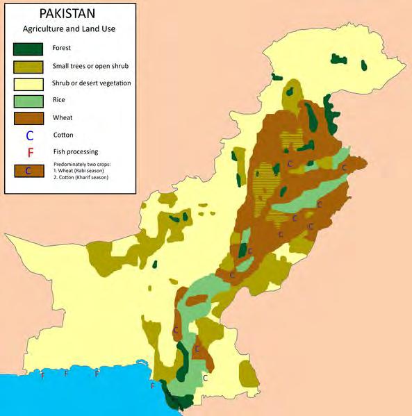Pakistan Agriculture Sector Total land area 770,880 sq km 35% - agricultural land 57% -