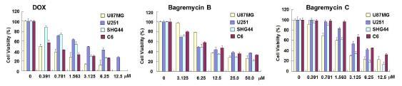 Figure S2. Activity of bagremycins B and C against glioma U87MG, U251, SHG44, and C6 cells.
