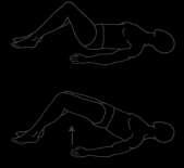 Home Exercise Program 1. Bridging Laying on your back, knees bent with feet flat on the floor, arms along side resting on the floor, tighten your abdominals to stabilize your low back.