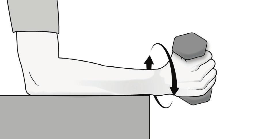 5. Forearm Supination & Pronation (Strengthening) 30 reps, Equipment needed: Dumbbell hand weights (1 lb., 2 lbs., 3 lbs.) Additional instructions: This exercise should be performed in stages.