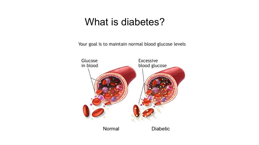 Diabetes is the state of constantly elevated blood glucose levels.