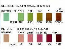 TESTING FOR KETONES Urine Strips Acetoacetate (AcAc) Measures un-used Ketones Measured with Colours Not the most reliable