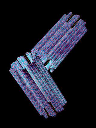 Centrioles (movement) Structure: Made from microtubules (protein) Found in the centrosome.