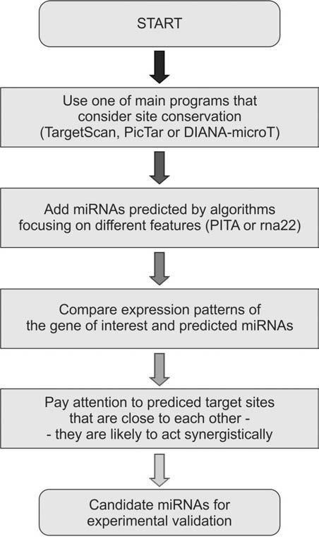 microrna Target Prediction Current Molecular Medicine, 2011, Vol. 11, No. 2 99 employed by algorithms in search of mirna-mrna predetermines the outcome advantages and weak points of used strategies.