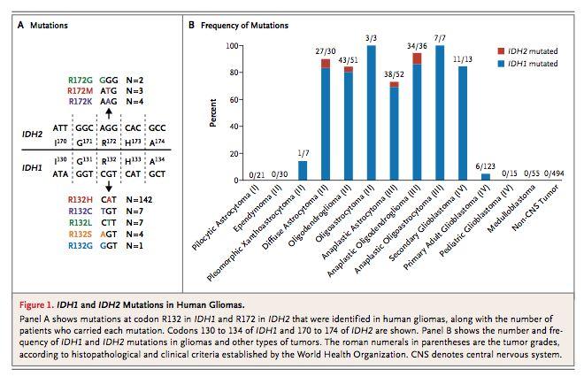 IDH1 R132H mutation in malignant glioma Argument for more unbiased genomic scanning of cancers