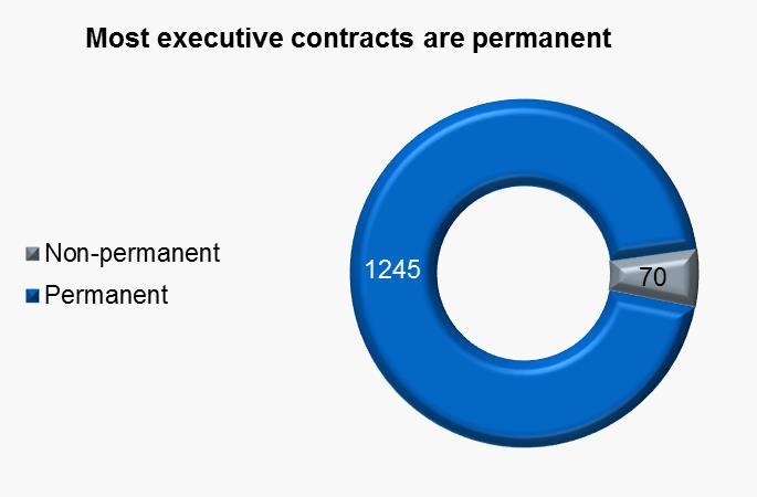 Executive directors: employment status Nearly all executive