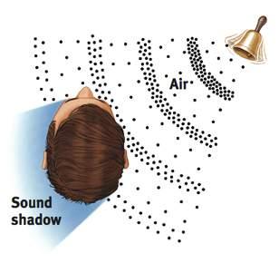 The Ear Locating Sounds Stereophonic hearing