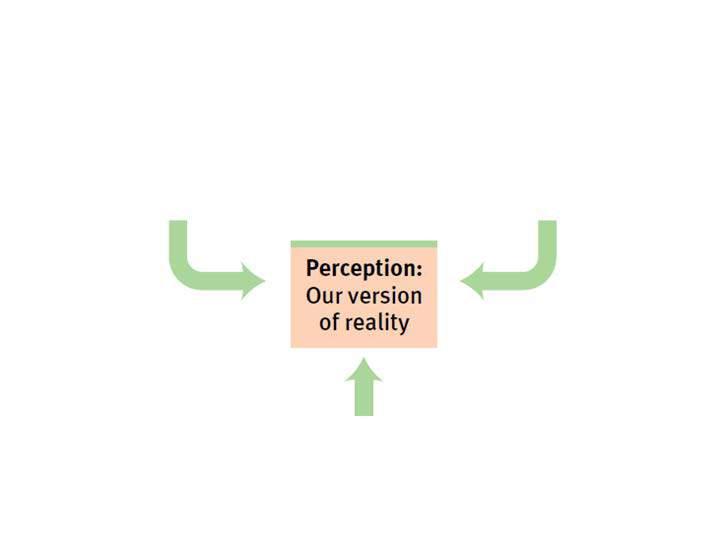 Perception is a